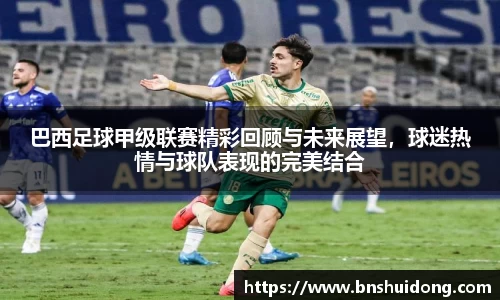 巴西足球甲级联赛精彩回顾与未来展望，球迷热情与球队表现的完美结合